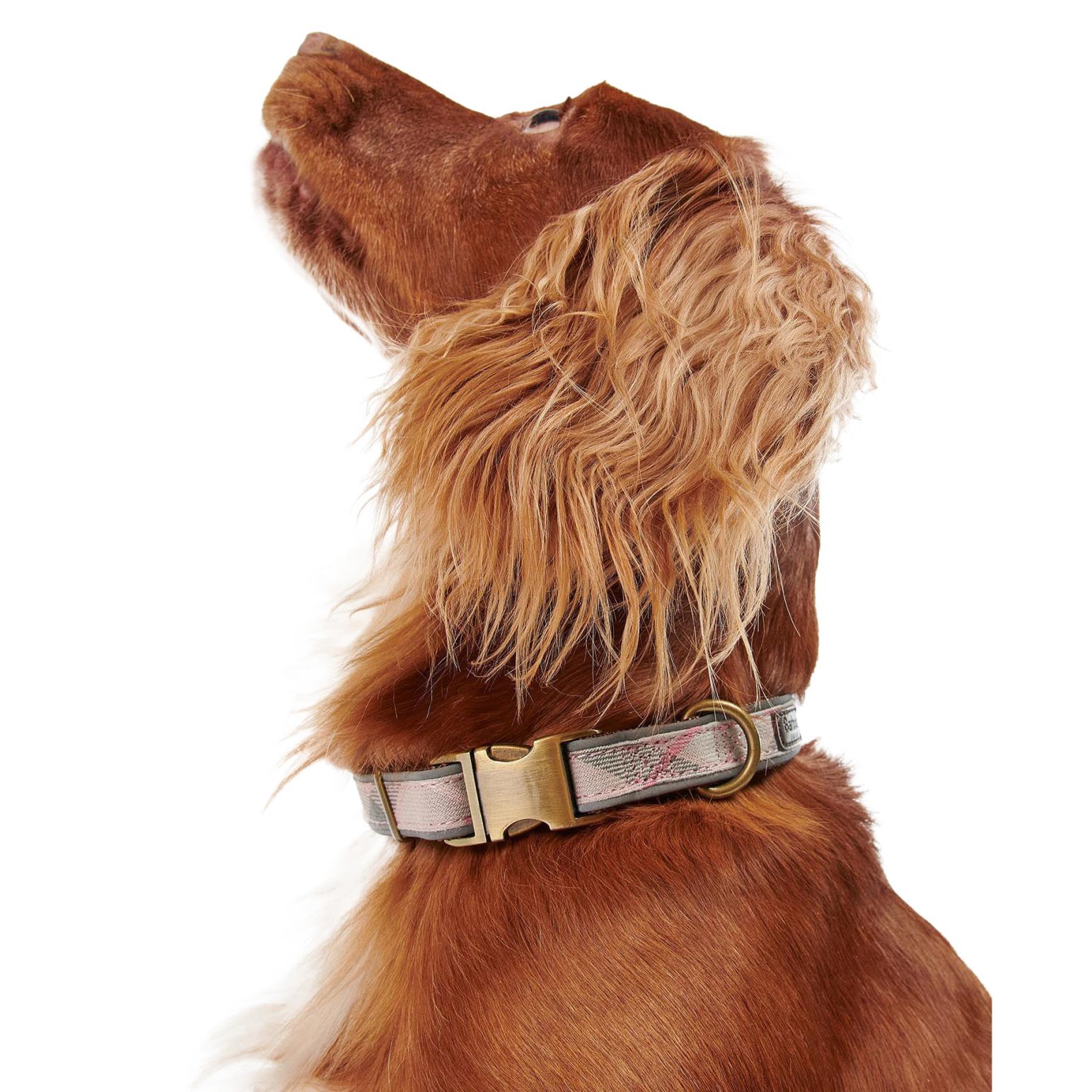 Barbour dog collars best sale